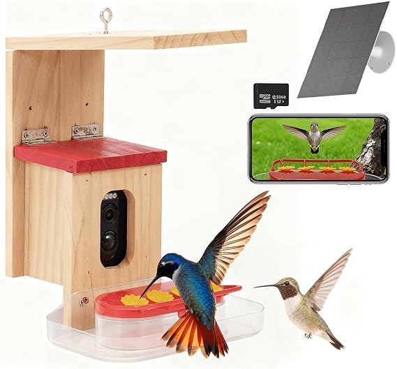 Wooden hummingbird feeder with 1080p camera and solar panel