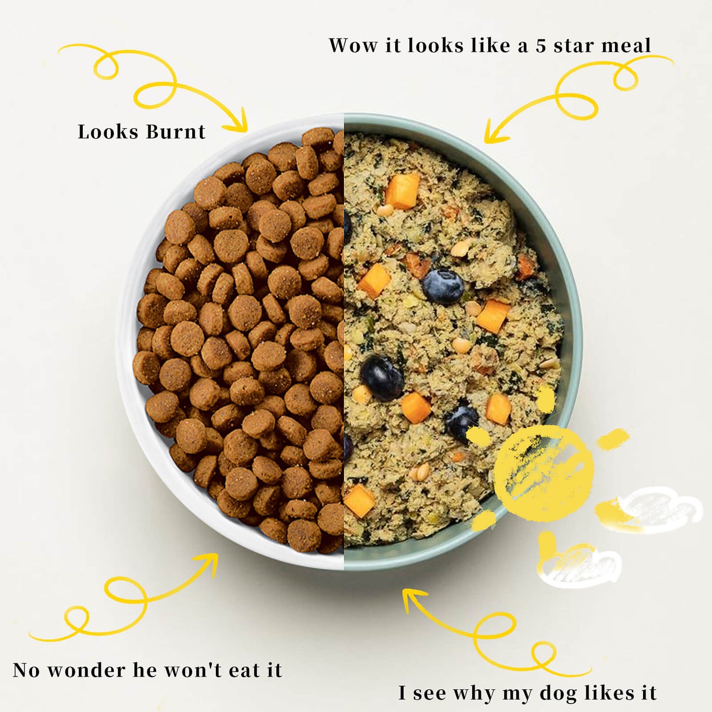 Pet Fresh Food Maker – All-in-One Dog & Cat Food Multicooker with Chopping & Cooking, Quiet & Odor-Free, 2.6 Quart Capacity, for Healthy Home-Cooked Meals