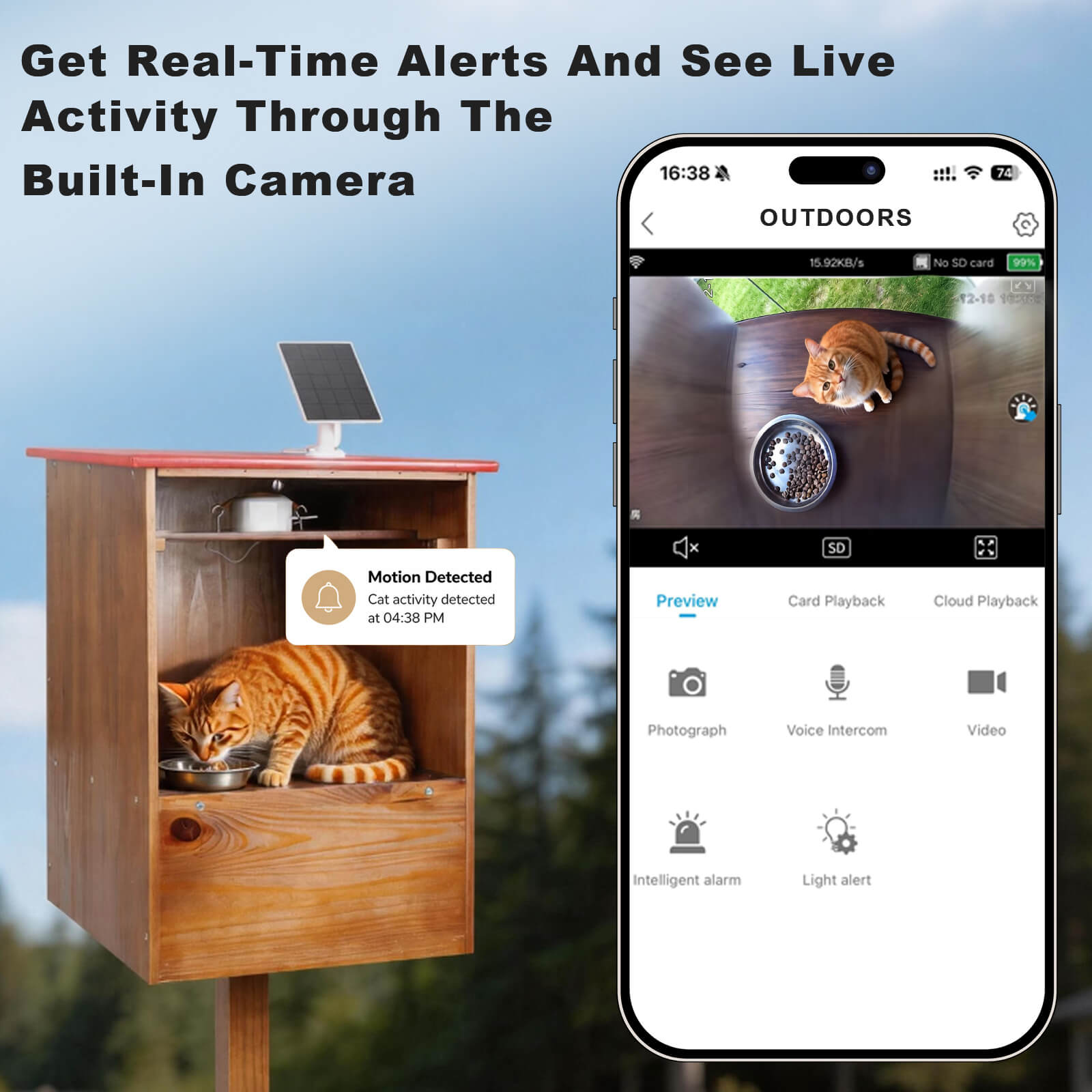 Real-time cat activity alerts and live camera view